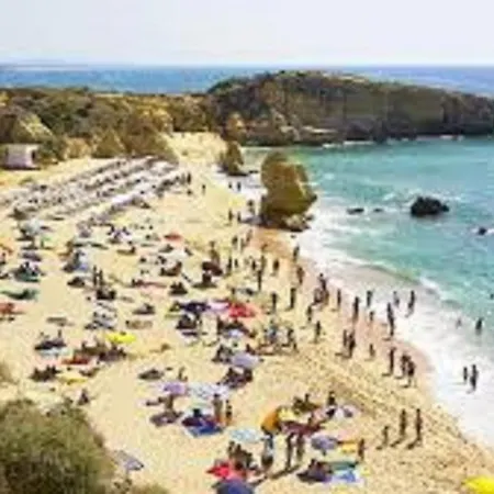 Brigida Villa *